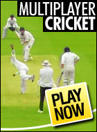 Multiplayer Cricket
